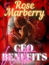 Novel CEO WITH BENEFITS by Rose Marberry