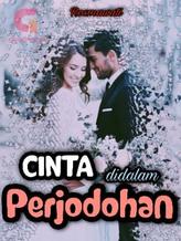 CINTA DI DALAM PERJODOHAN