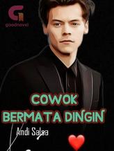 Novel COWOK BERMATA DINGIN by Andi Sasa