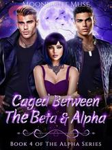 Novel Caged Between The Beta & Alpha by Moonlight Muse