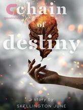 Novel Chain of Destiny by Skellington June