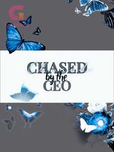 Novel Chased By The CEO by Shin Sungmi