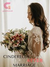 Novel Cinderella After Marriage by Queen Natha
