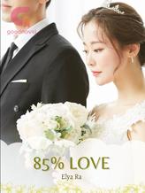 Novel Cinta 85% by Elya Ra Fanani