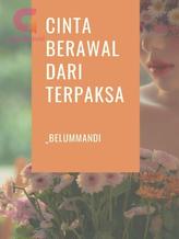 Novel Cinta Berawal dari Terpaksa by _belummandi