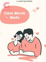 Novel Cinta Merah Muda by Gulalia