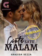 Novel Cinta Satu Malam by Handira Rezza