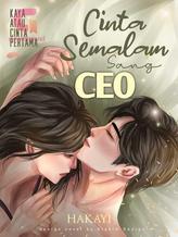 Novel Cinta Semalam Sang CEO by Hakayi