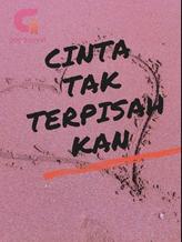 Novel Cinta Tak Terpisahkan by Erka