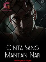 Novel Cinta sang Mantan Napi by R. Aliyah