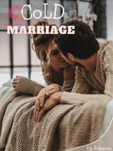 Novel Cold Marriage by Velvet