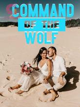 Novel Command of the Wolf by anthonytaylor7