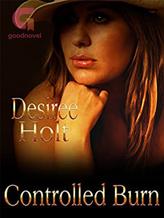 Novel Controlled Burn by Desiree Holt