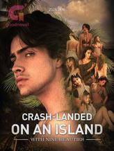 Novel Crash-landed On An Island With Nine Beauties by Zuxian