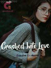 Novel Crashed Into Love. by Inntri