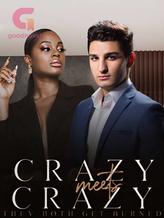 Novel Crazy Meets Crazy by Annaliese