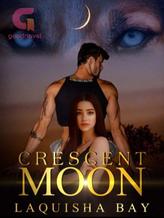 Novel Crescent Moon by Laquisha Bay