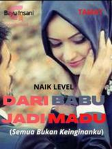 Novel DARI BABU JADI MADU (Semua bukan keinginanku) by Bayu Insani