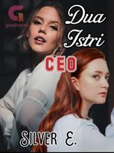 Novel DUA ISTRI CEO by Silver Eyes