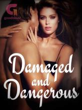 Novel Damaged and Dangerous by ANN