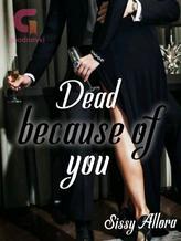 Novel Dead because of you by Sissy Allora