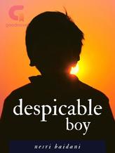 Novel Despicable Boy by Nesri Baidani