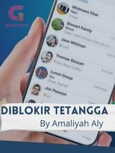 Novel Diblokir Tetangga by Amaliyah Aly