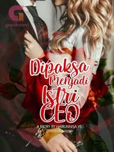 Novel Dipaksa Menjadi Istri CEO by Hairunnisa Ys