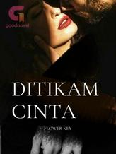 Novel Ditikam Cinta by Deyana Bunga