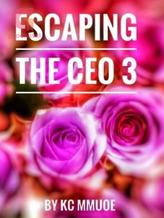 Novel ESCAPING THE CEO 3 by KC Mmuoe