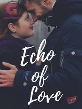 Novel Echo of Love by RT