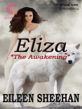 Novel Eliza: The Awakening (Book 1) by Eileen Sheehan, Ailene Frances, E.F. Sheehan