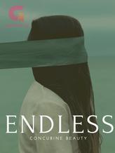 Novel Endless by Concubine Beauty