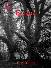 Novel Escape by Chelsea Yates