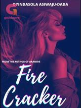 Novel FIRE CRACKER by The African Girl