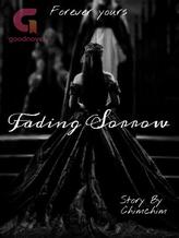 Novel Fading sorrow by Scarlet