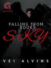 Novel Falling From Your Sky by Vei Alvins