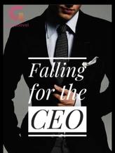 Novel Falling for the CEO by Temi writes