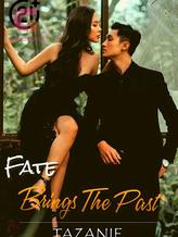 Novel Fate Brings The Past by Tazanie Fate Brings The Past