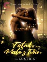 Novel Fated to My Mate’s Twin by Illustris Author