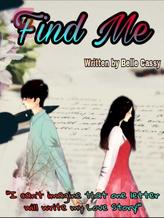 Novel Find Me (English translation) by Belle Cassy