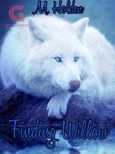 Novel Finding Willow by Mholden