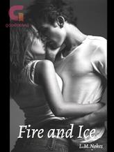 Novel Fire and Ice (The alliance Book 1) by L.M.Nokes