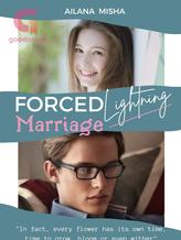 Novel Forced Marriage Lightning by Ailana Misha