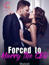 Novel Forced To Marry The CEO by Shujyoti