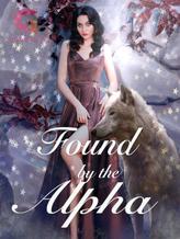 Novel Found by the Alpha by Bella Moondragon