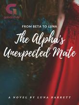 From Beta to Luna - The Alpha's Unexpected Mate