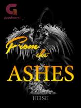 Novel From The Ashes by Heise