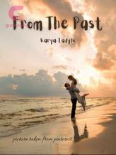 Novel From The Past by Ladyfii