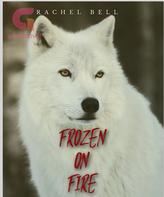 Novel Frozen on Fire by Raquel Belury Rosenberg